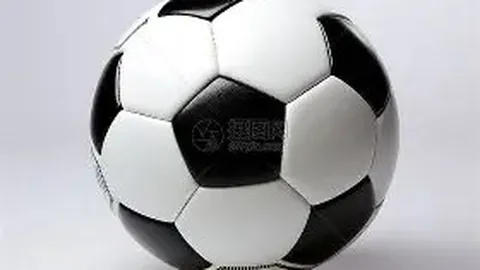 华体会体育娱乐